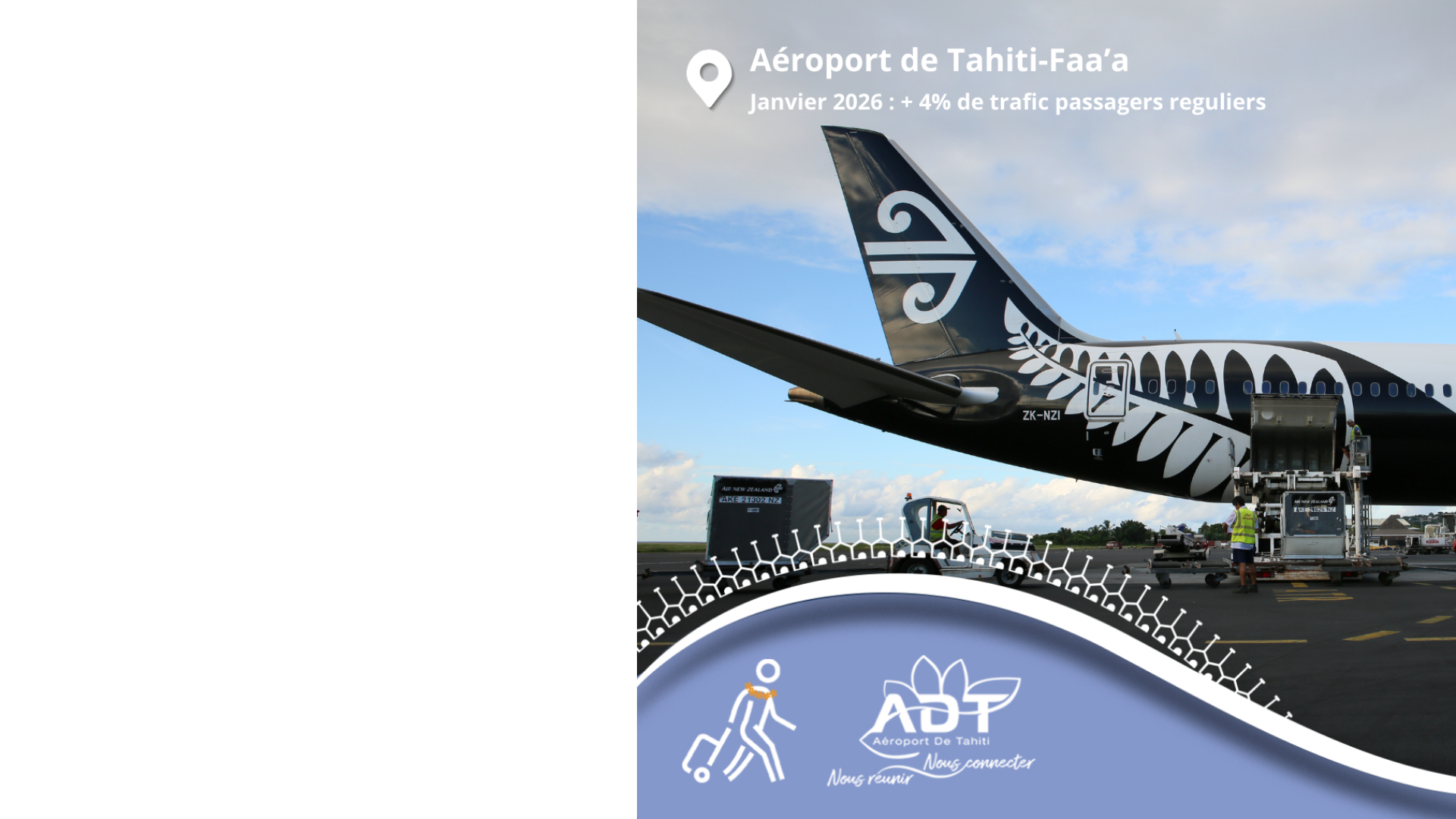 Post web trafic janvier 2026